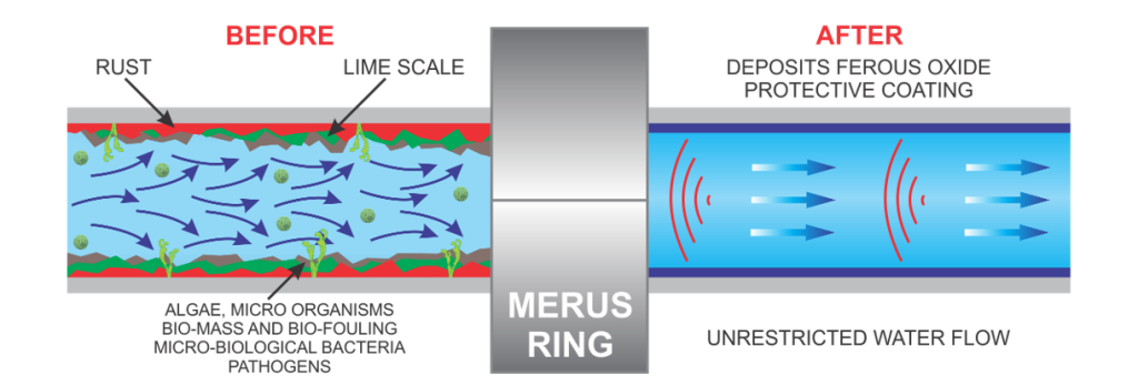 explaining how the merus ring work